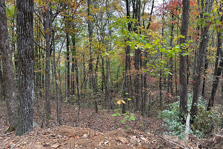 Camping Site 3